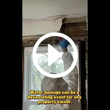 video7